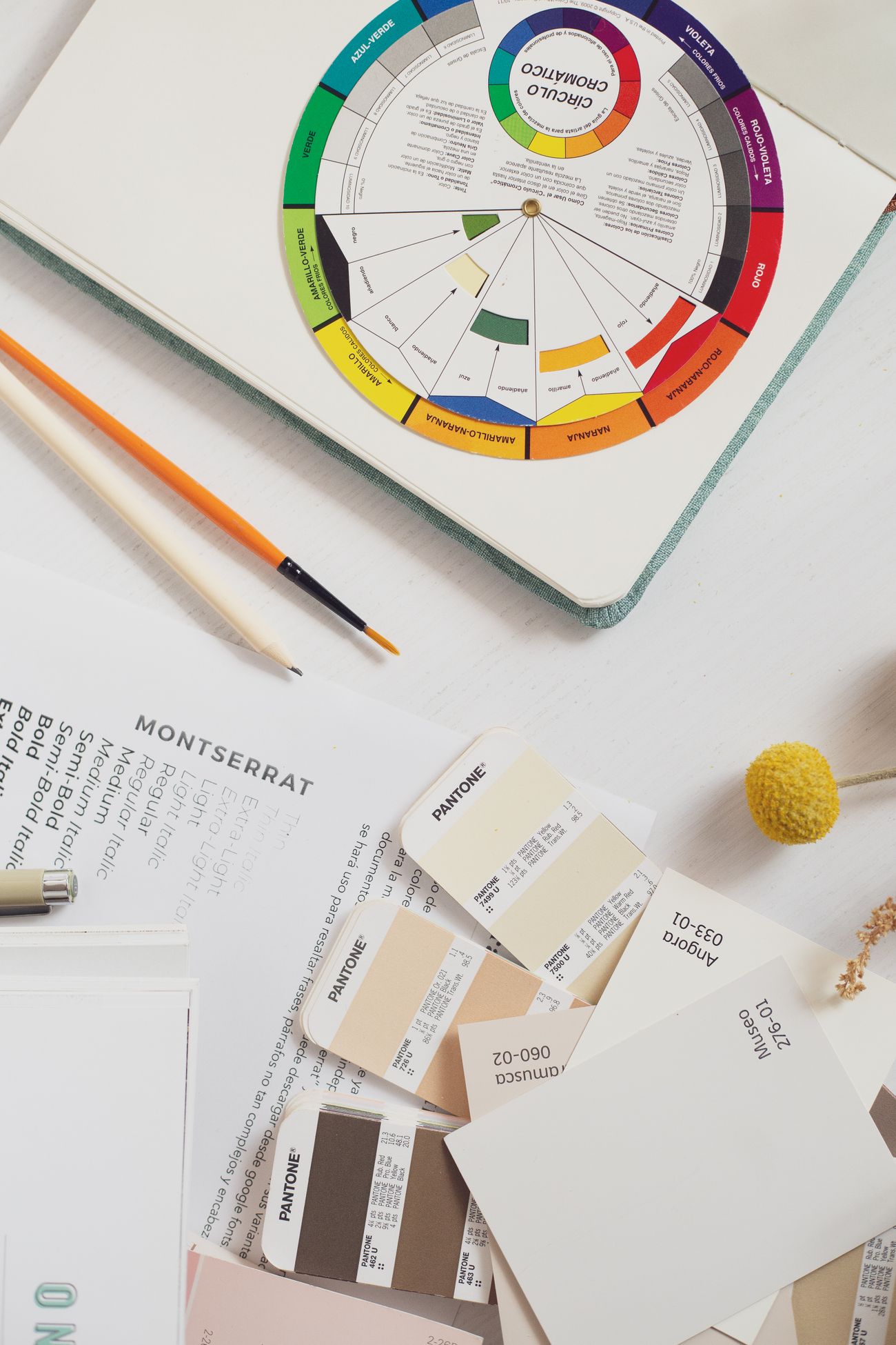 Colour swatches, pencils and design materials laid out for a brand identity project