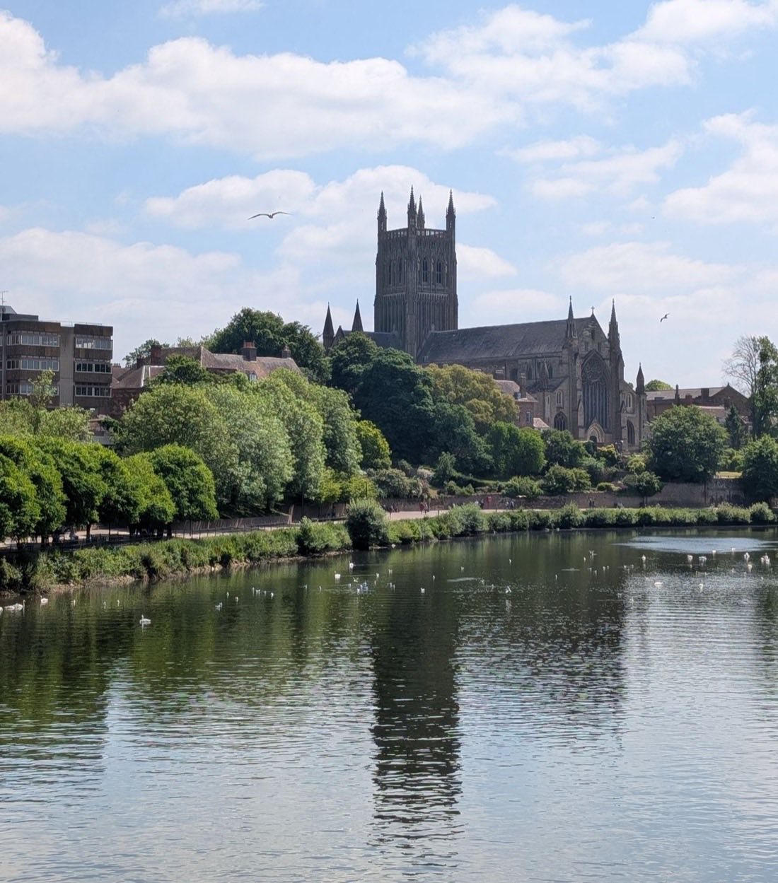 Worcester Cathedral rising above the River Severn, the home city of Psychemeta's Worcester SEO practice
